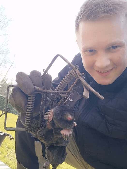 Skadedyrsbekæmper Søren viser fangst af muldvarpe med muldvarpesakse