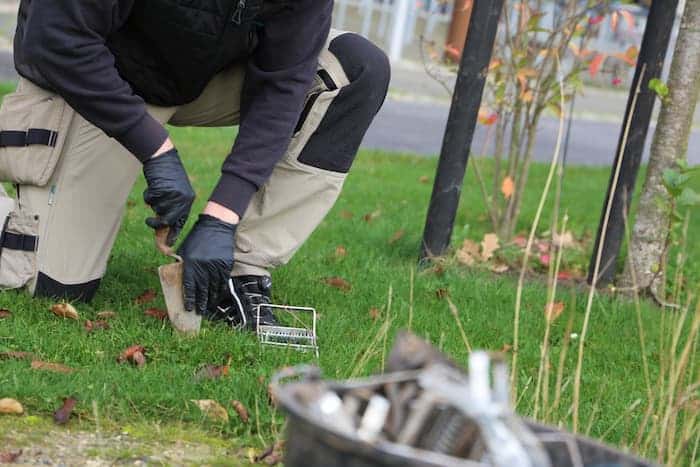 Skadedyrsbekæmperen er i gang med at opstarte bekæmpelse af muldvarpe med saks